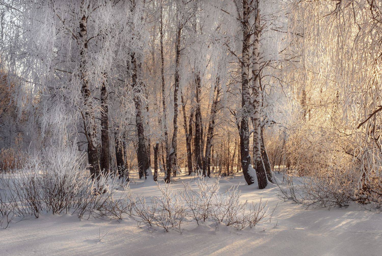 Еще немного о зиме.... Автор: Мозжухин Максим , Мозжухин Максим