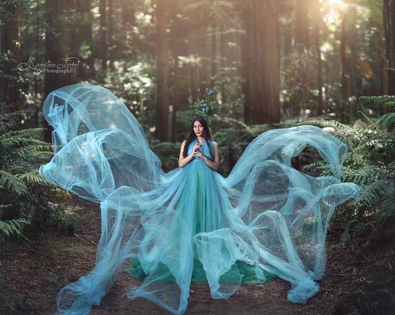blue, dress, платье, бабочки, лес, богиня, художественная, фотография, фотосессия, волшебная, портрет, голубой Forest fairyphoto preview