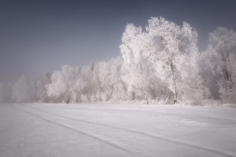 зима, туман, мороз, сибирь, железногорск, красноярский край, иней Морозная Сибирьphoto preview