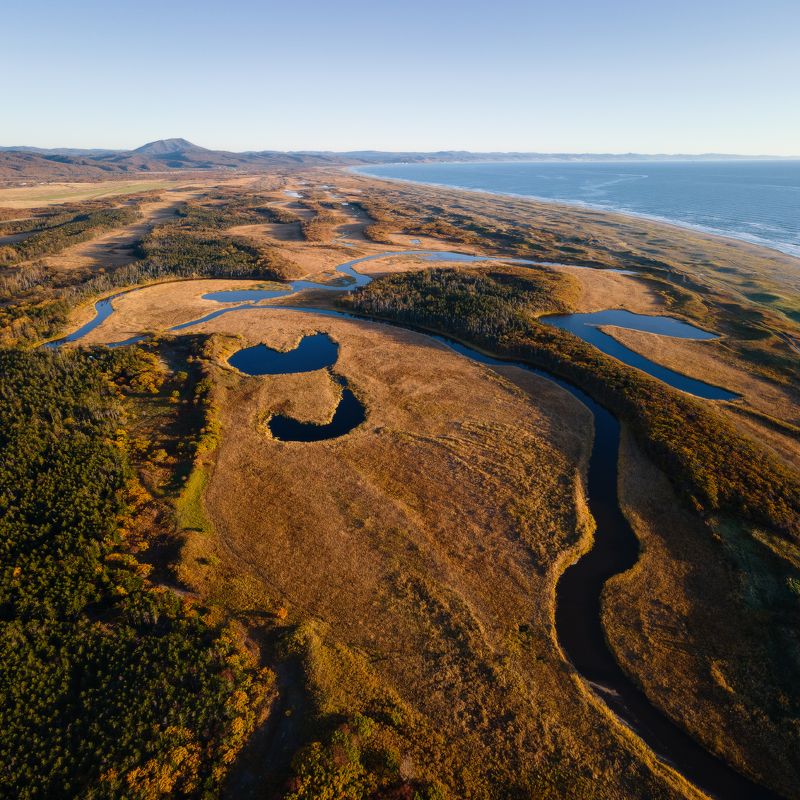 Осенние узоры.photo preview