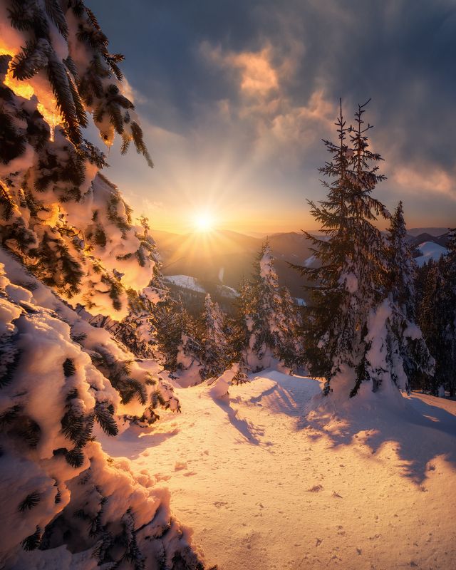 Behind the sprucephoto preview