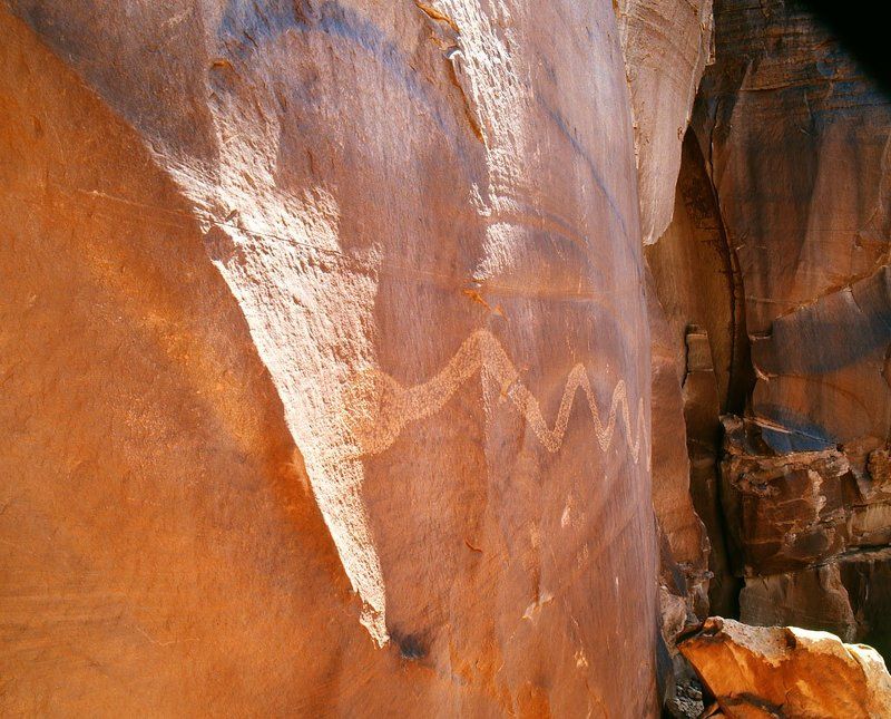 Solstice Snakephoto preview