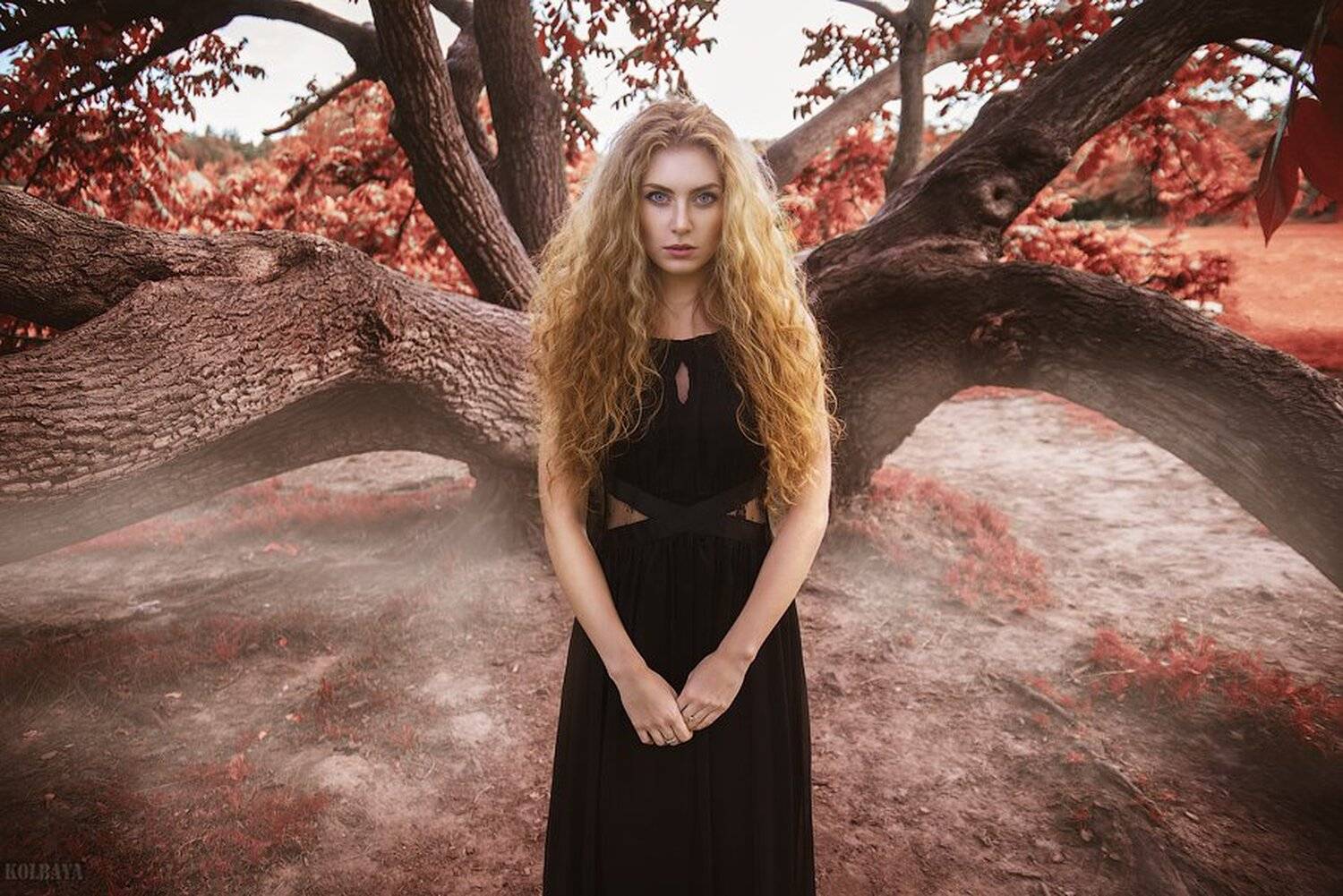 , Колбая Александр