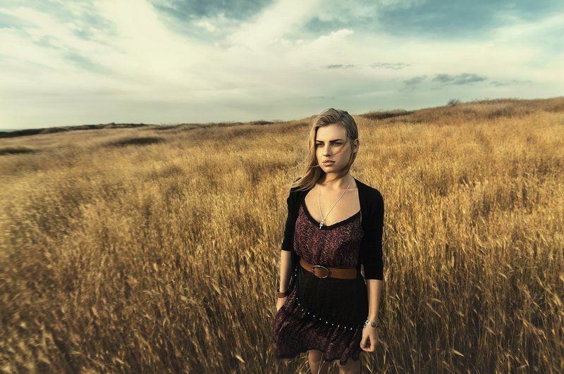 dry spikeletsphoto preview