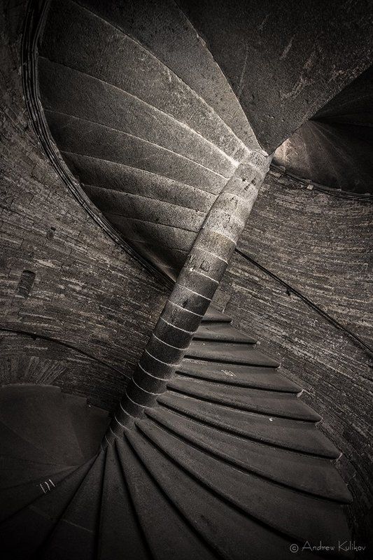 ДНК Петербургаphoto preview