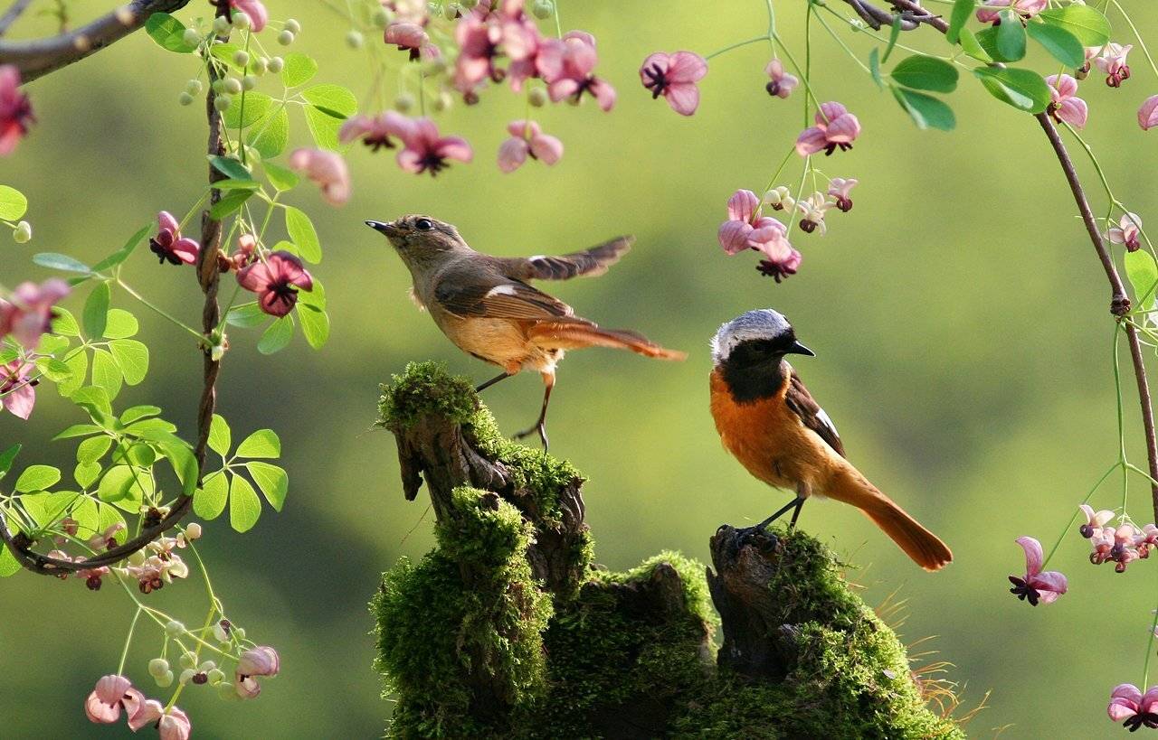 Couple. Автор: 박 경 수 , 박 경 수