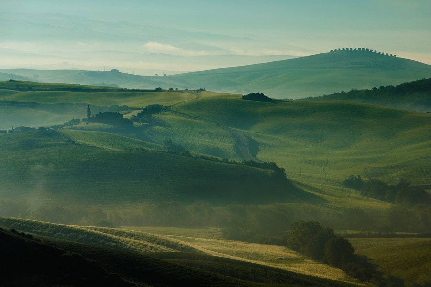 Field. Автор: Jaroslaw Marcela , Jaroslaw Marcela