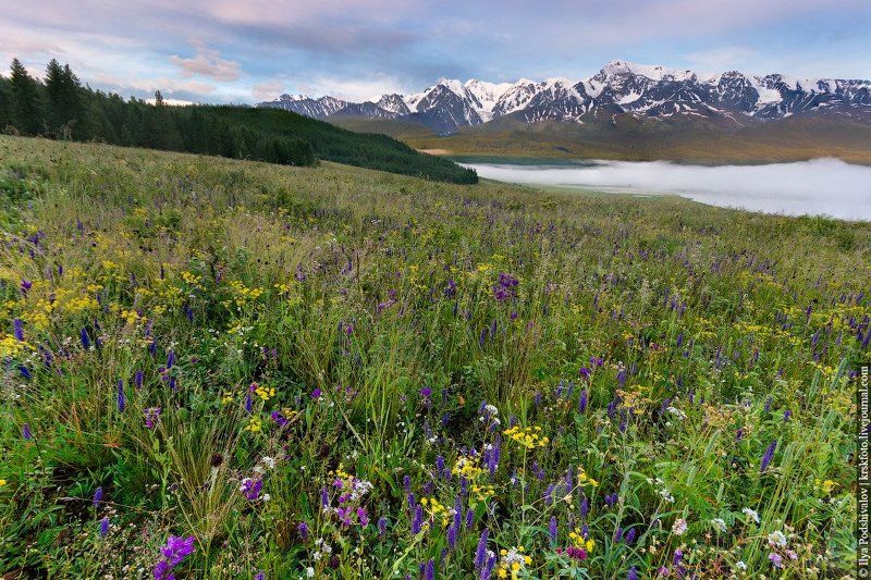 Утроphoto preview