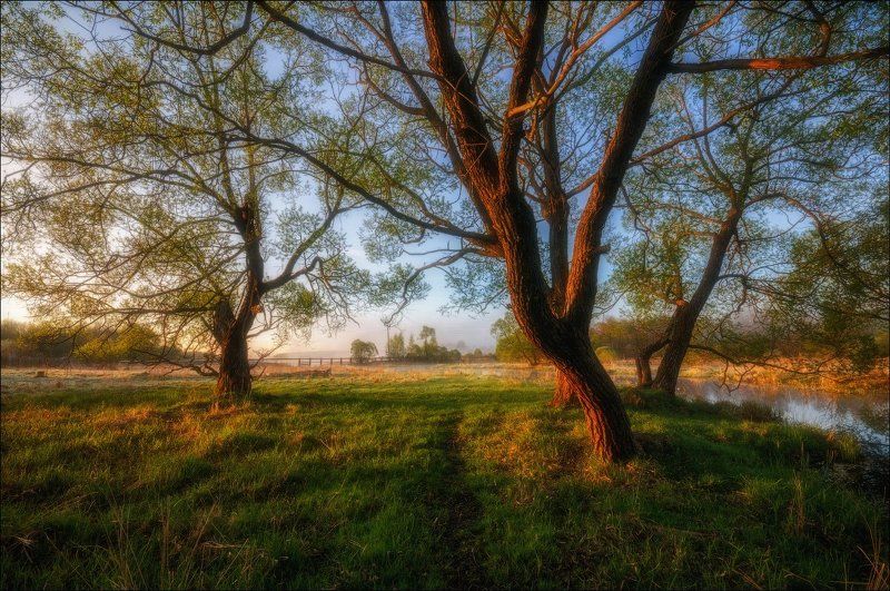 Подмосковье, Рыбалка, Туман, Утро Утро перед рыбалкойphoto preview