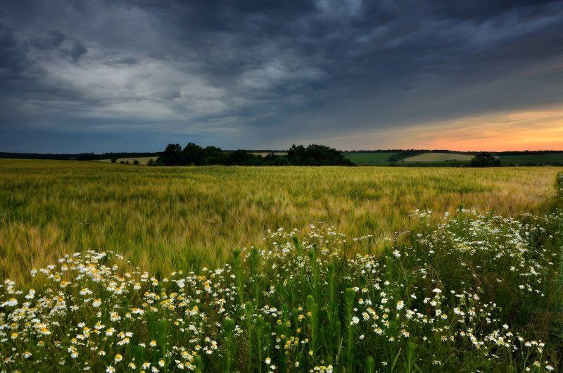 Сельские вечераphoto preview
