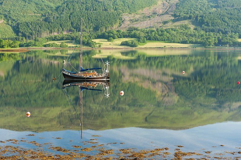 Шотландское зеркалоphoto preview