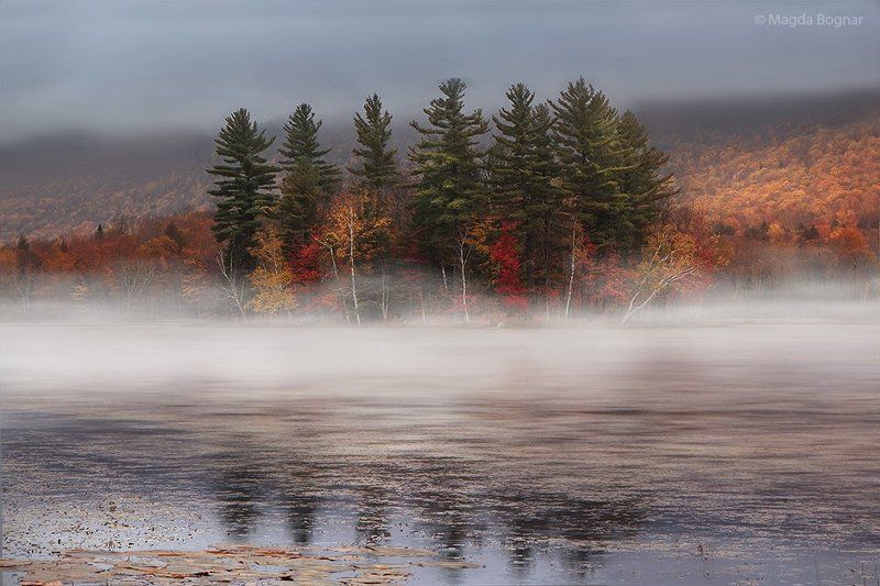 Foggy Morningphoto preview