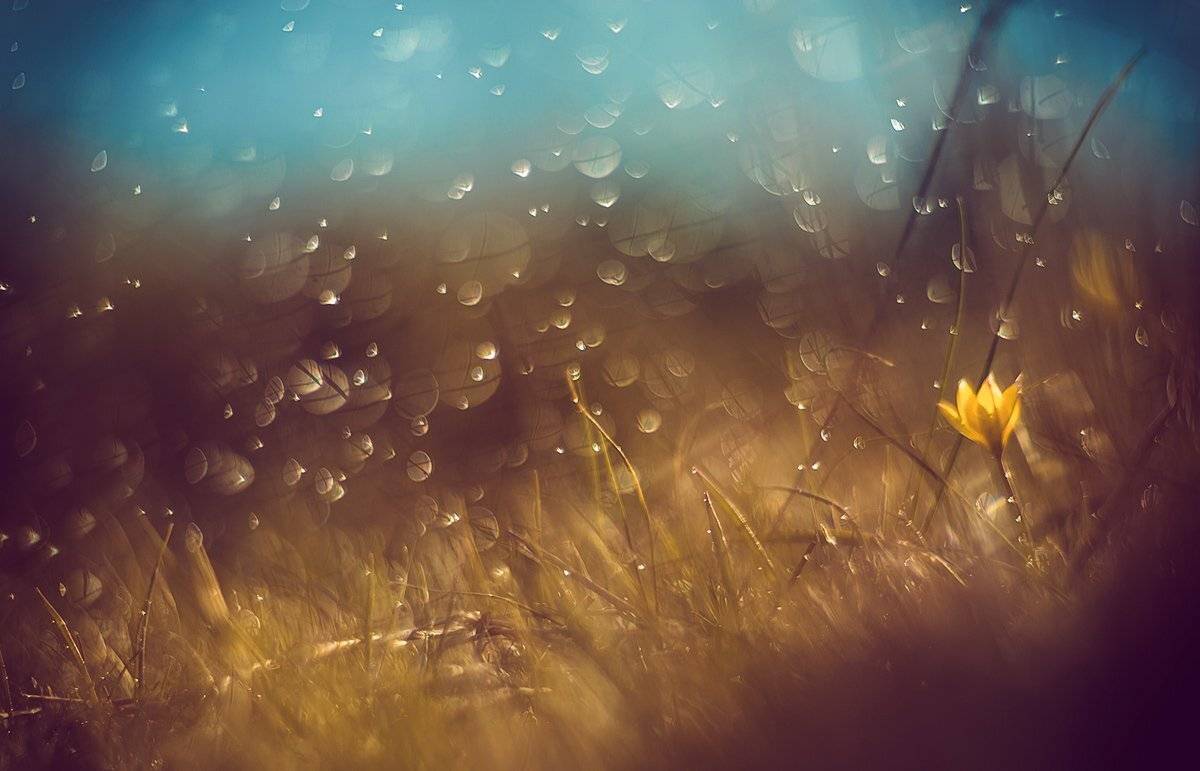 , Татьяна Аверина