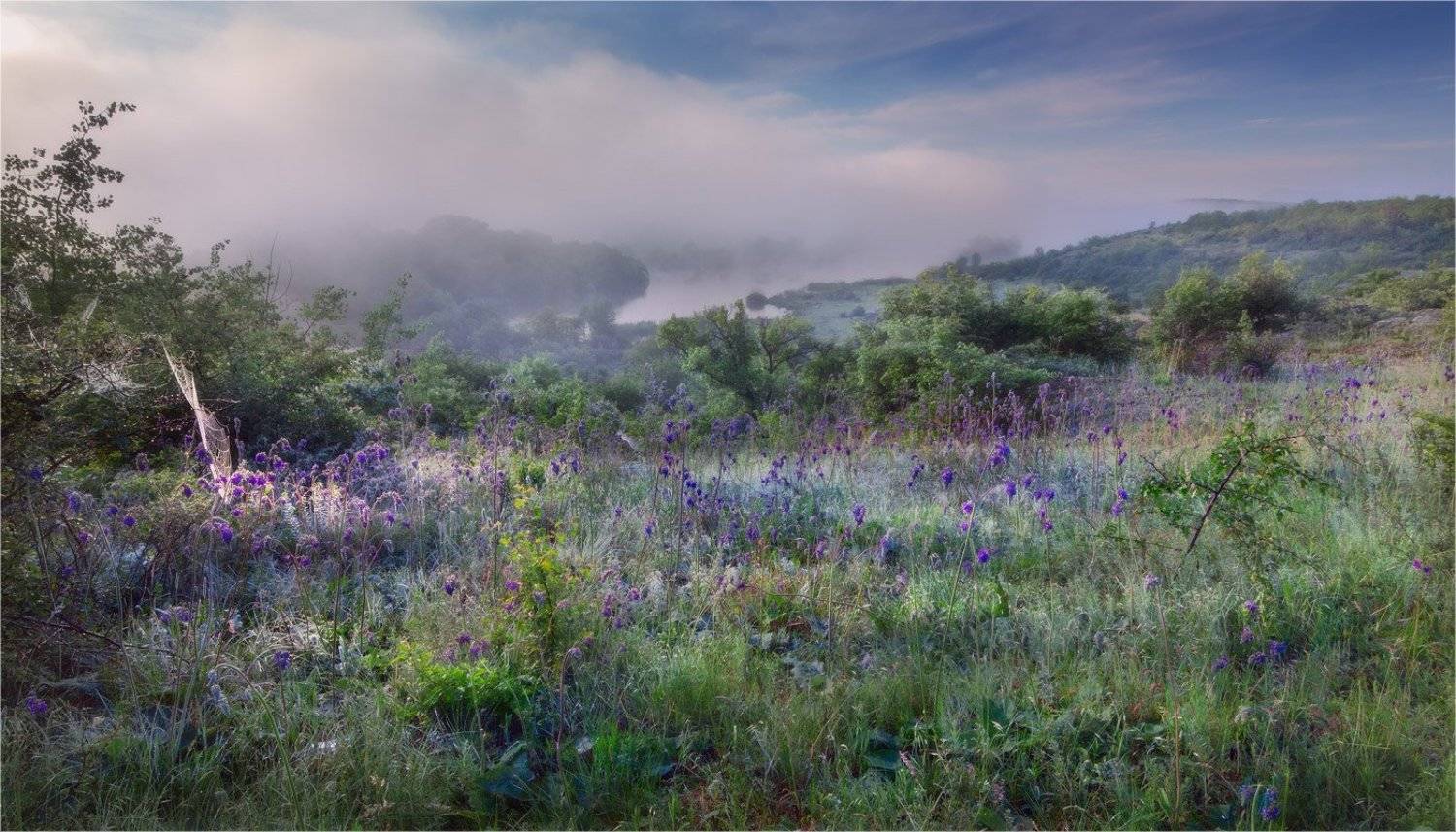 , Александр Киценко