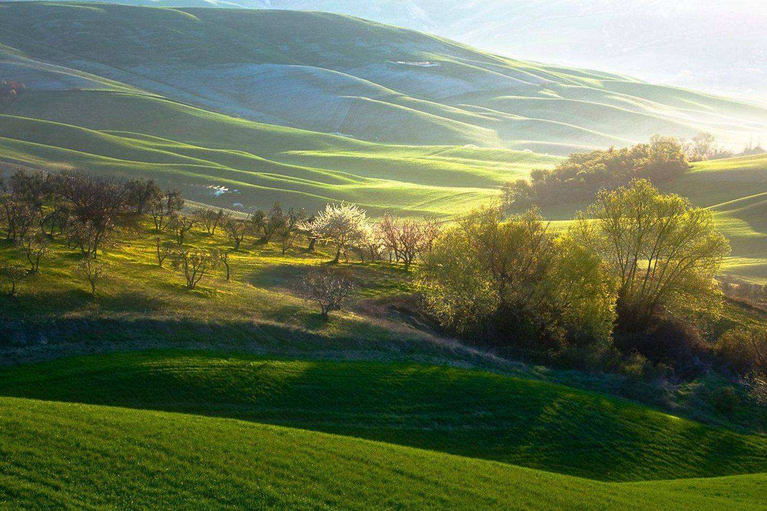 Spring in Tuscany .... Автор: Boguslaw Strempel , Boguslaw Strempel