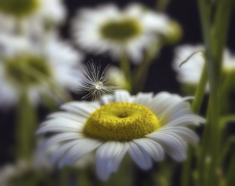 Гравитацияphoto preview