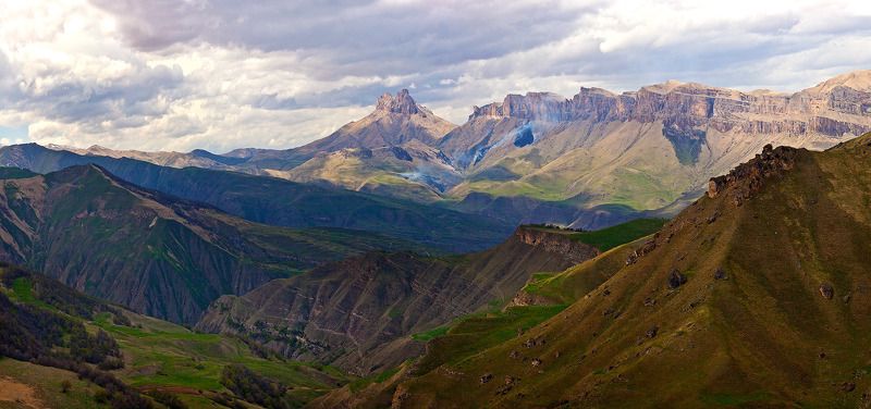 Тещины зубыphoto preview