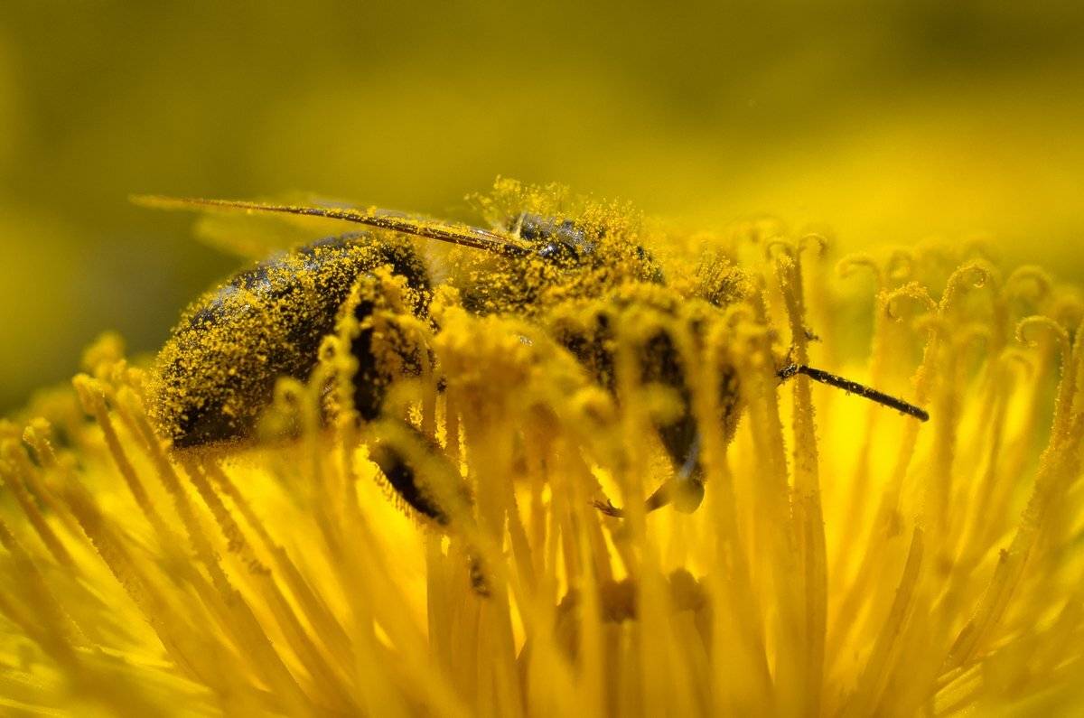 С головой в работе. Автор: Сергей , Сергей