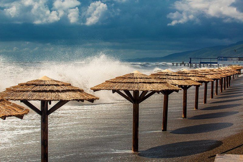 Summer Storm)photo preview