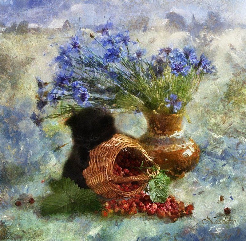 ВасильковоЗемляничное...photo preview