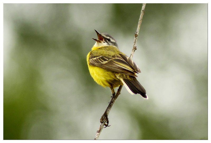 Ураа....photo preview