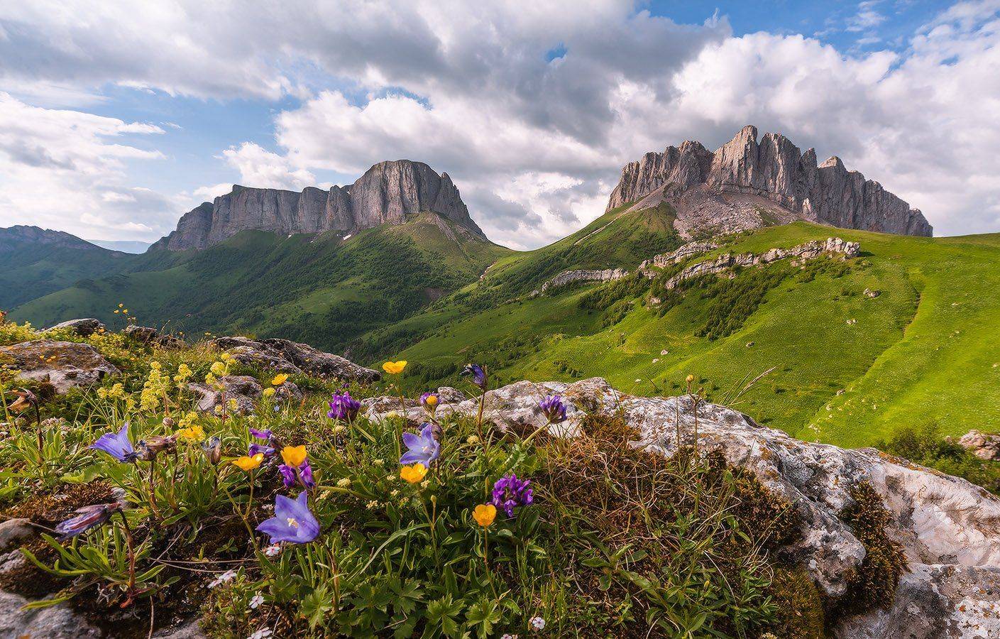 Наши пограничники, храбрые ребята, Трое вызвались идти, а с ними капитан. Разве ж знать они могли, что и азиаты Порешили в эту ночь вдарить по цветам!. Автор: Николай Мысливцев западный, кавказ, ачешбок, лето, июнь, цветы, Николай Мысливцев