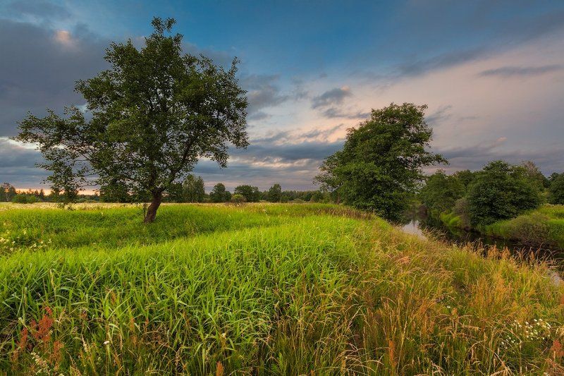 Вечер у рекиphoto preview