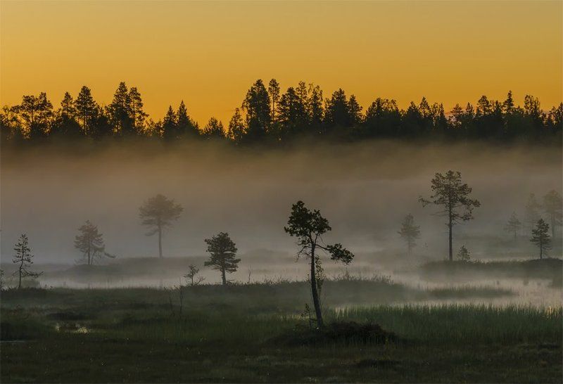 болото,  карелия, лето,  небо,  пейзаж, природа, путешествие,  рассвет,  туман, туризм, утро На заре.photo preview