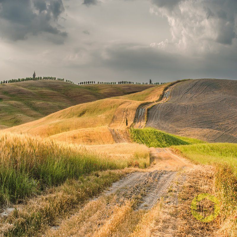 Summer Road...photo preview