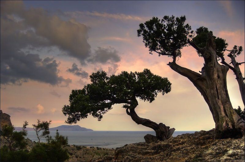 Три времениphoto preview