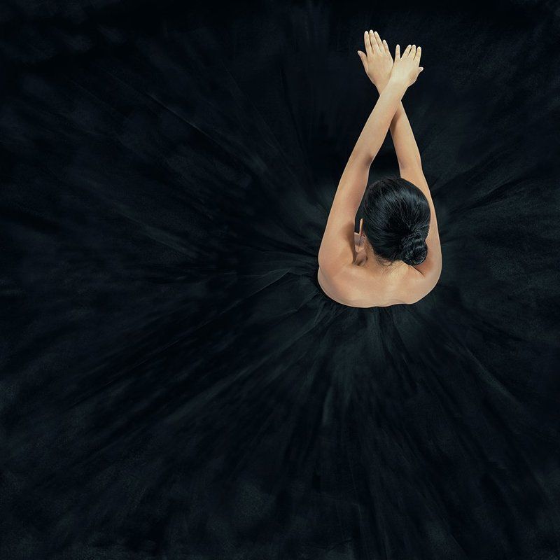 The black swan фото превью