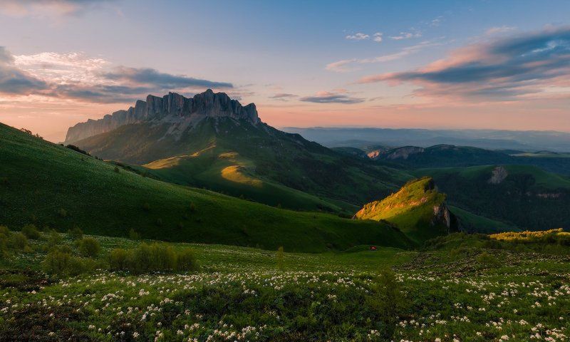 лето , июнь, тхачи, цветы, закат Когда цветет Ветрянкаphoto preview