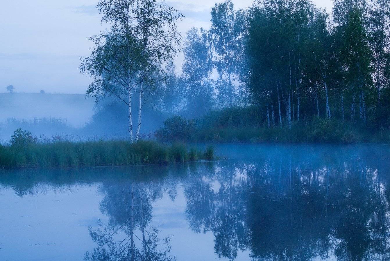 ***. Автор: Владимир Перепечаев , Владимир Перепечаев