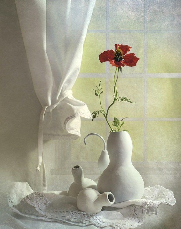 Маки, Настроение, Цветы Аленькие....photo preview