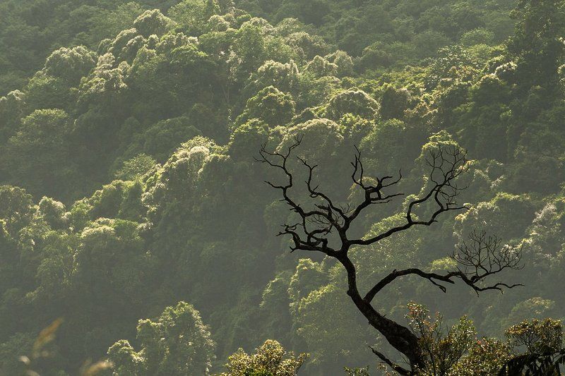 Sức sốngphoto preview