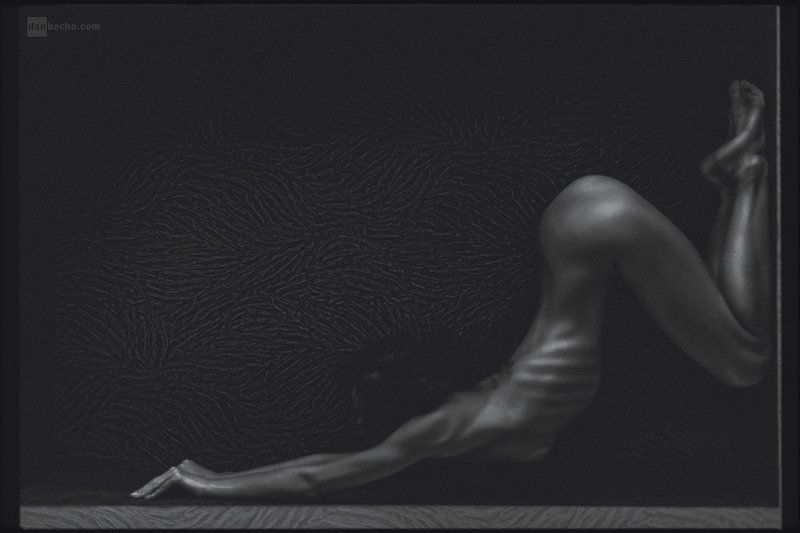 Darishaphoto preview