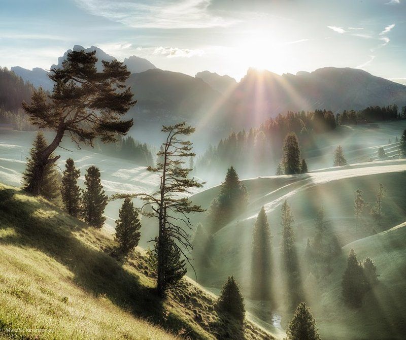 утренняяphoto preview