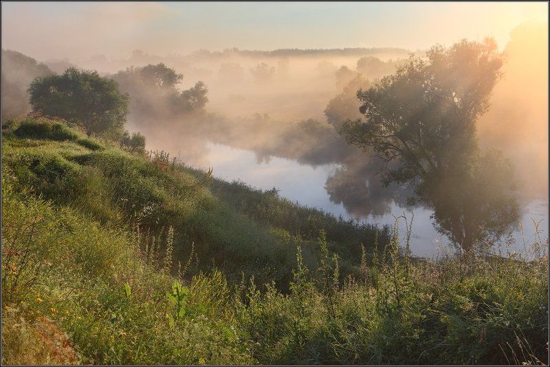 Утренний туманphoto preview