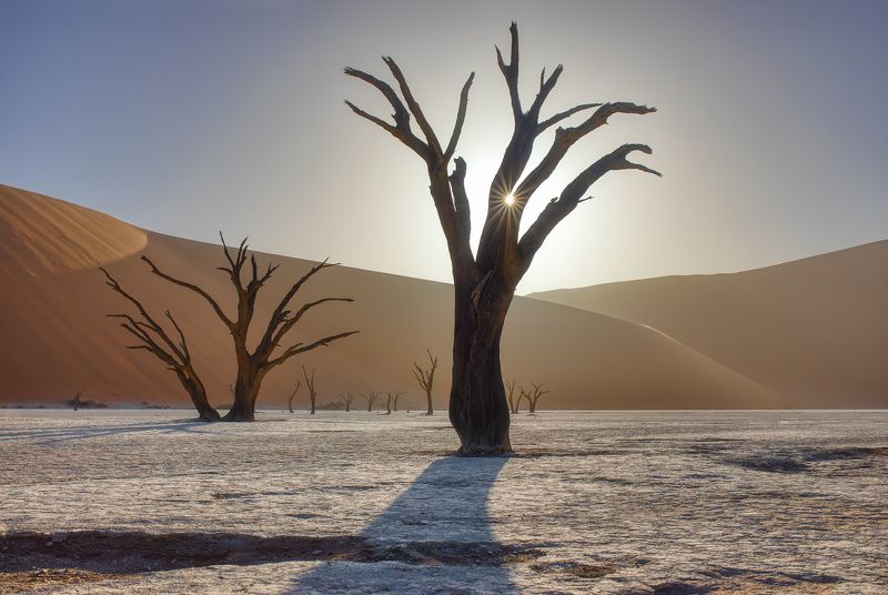 dead vlei Dead vleiphoto preview
