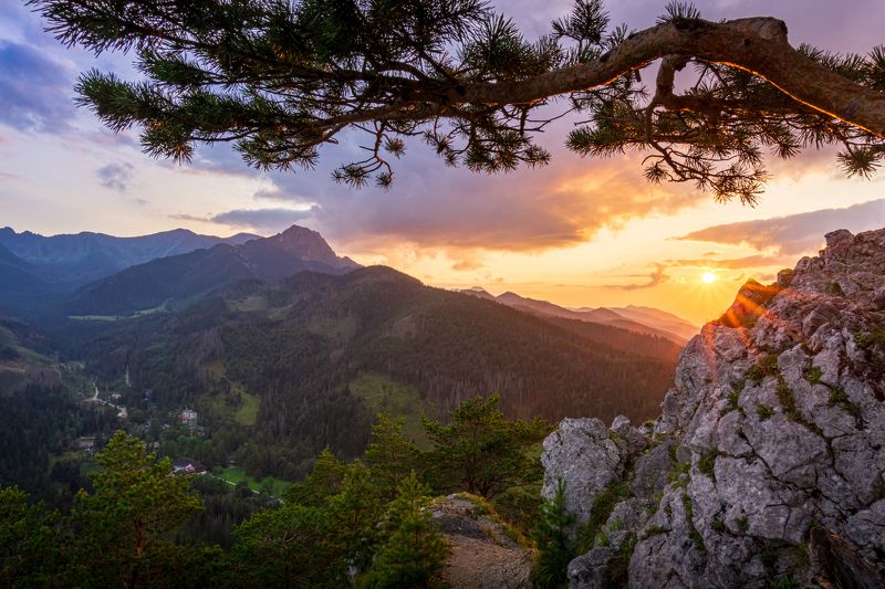 zakopane, kuźnice, kuznice, nosal, tatry, tatras, polska, poland, giewont, mountain, mountains, evening, sunset, sun, summer, sky, tree Evening colorsphoto preview