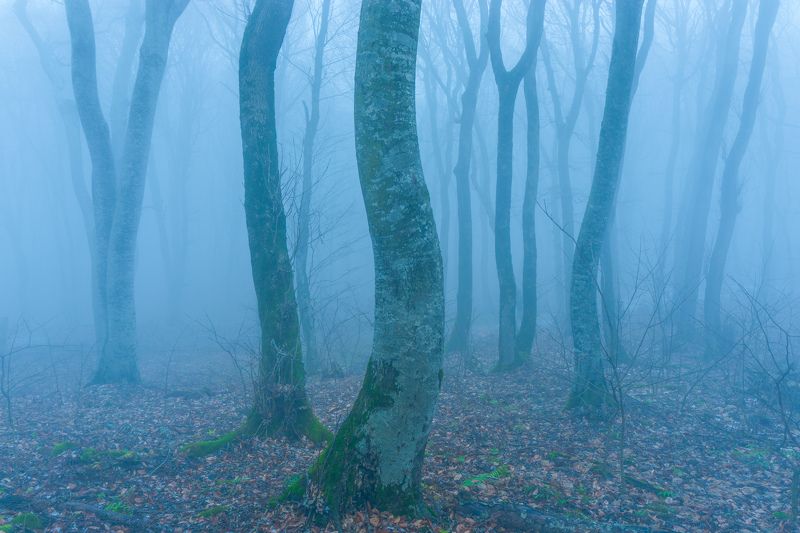 туман, кмв, бештау Мокрый декабрьphoto preview