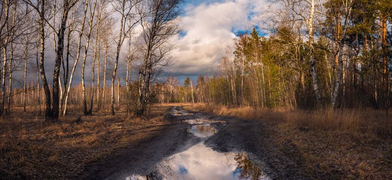 луг зима февраль закат тучи лужи Оттепель в февралеphoto preview