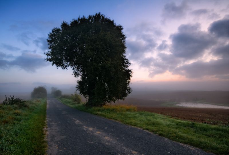 long way home...photo preview