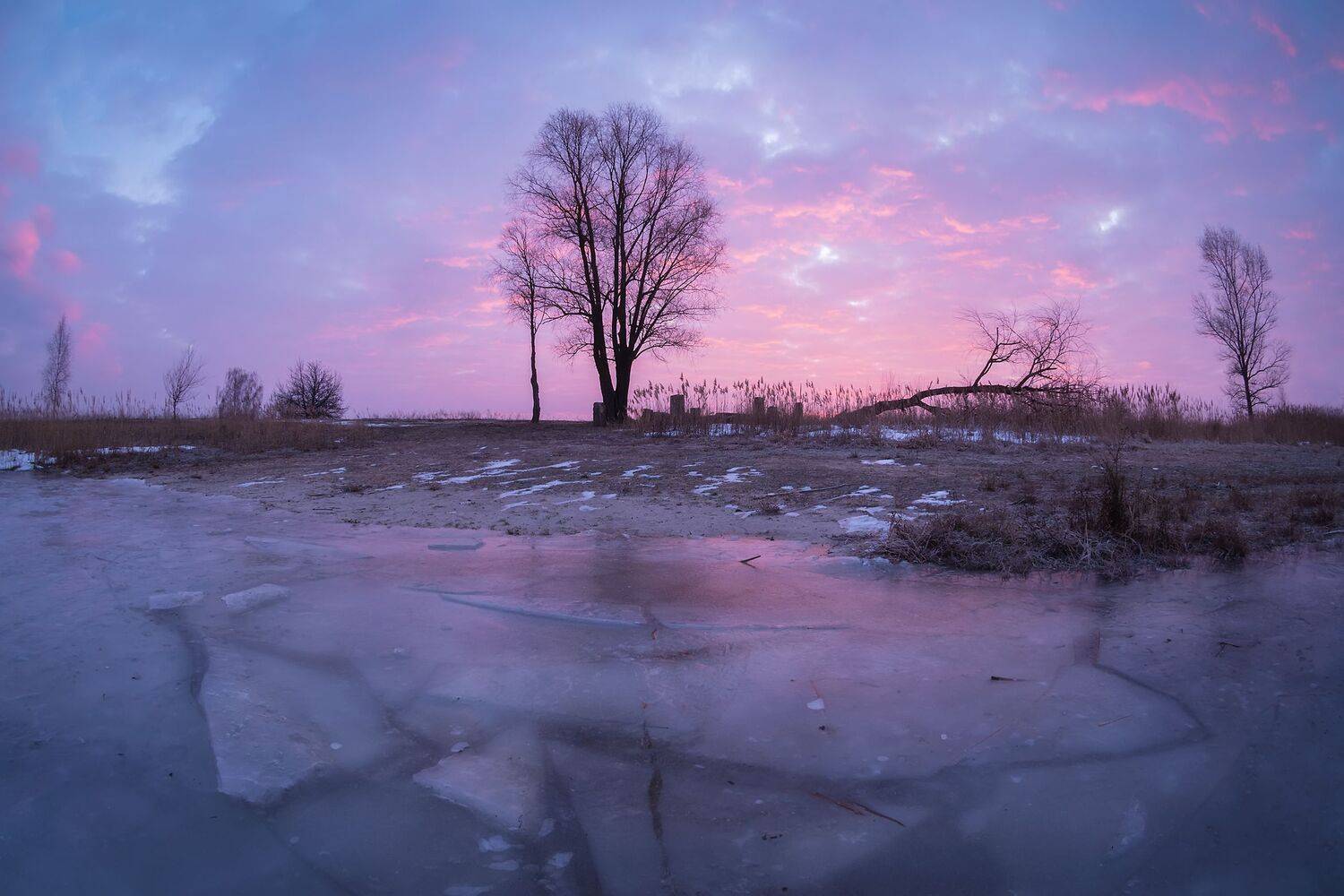 Февральское утро. Автор: Захаров Дмитрий , Захаров Дмитрий