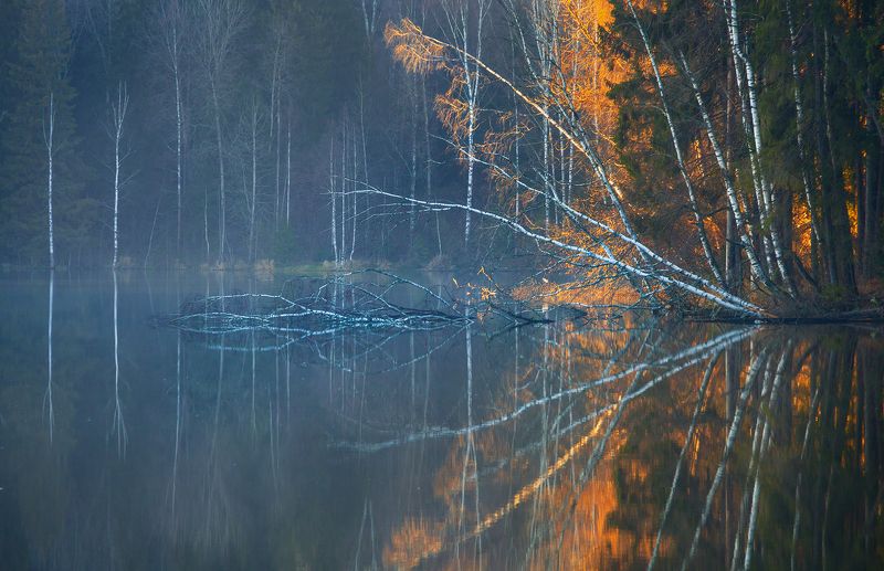 пейзаж, рассвет, озеро, сергиев посад  Осень догорает photo preview