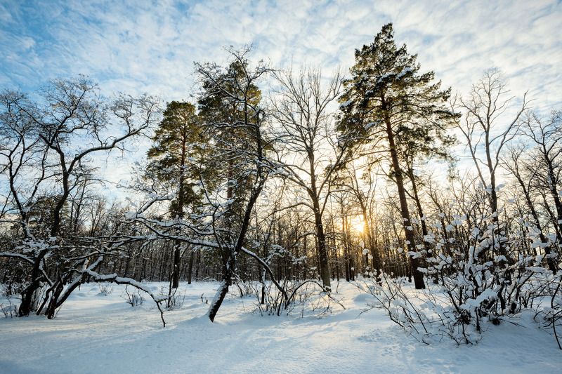 Солнечный февральphoto preview