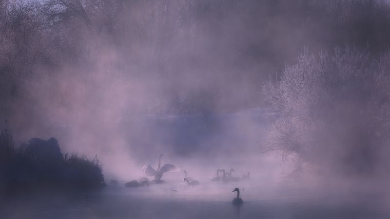 Мороз и туманphoto preview