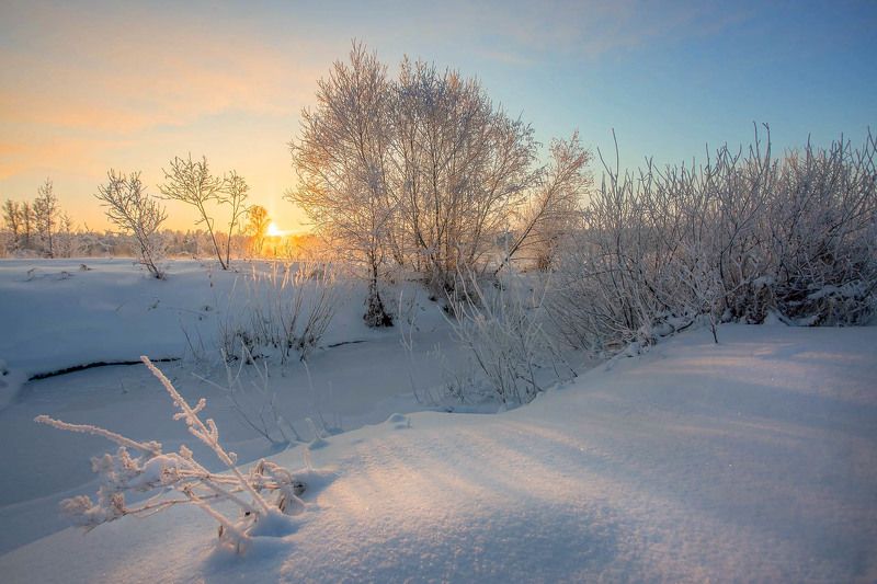 Берег реки Лугаphoto preview