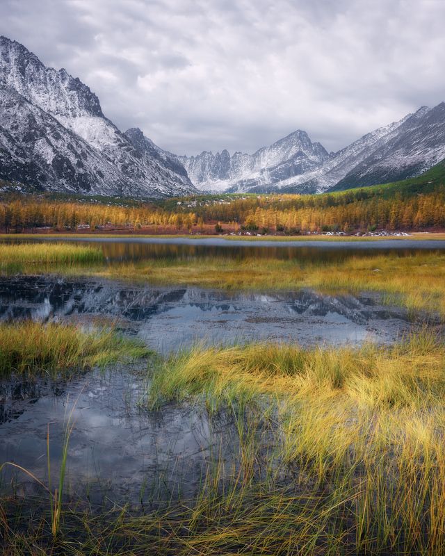 осень, колыма, озеро джека лондона Полосы света на небольшом болотцеphoto preview