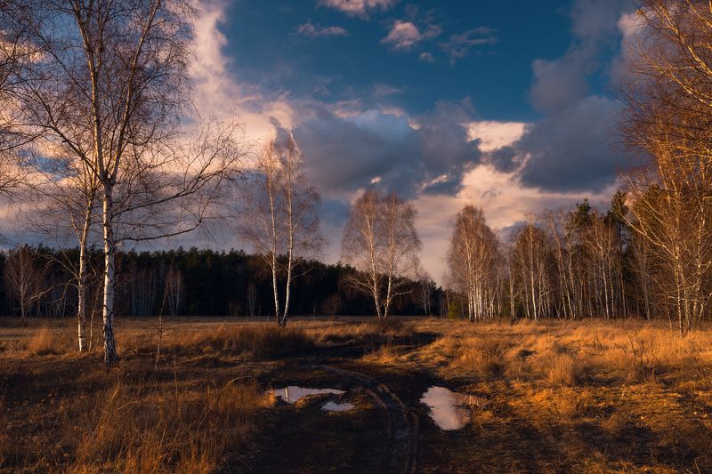 луг зима февраль закат тучи лужи Золото февральского закатаphoto preview